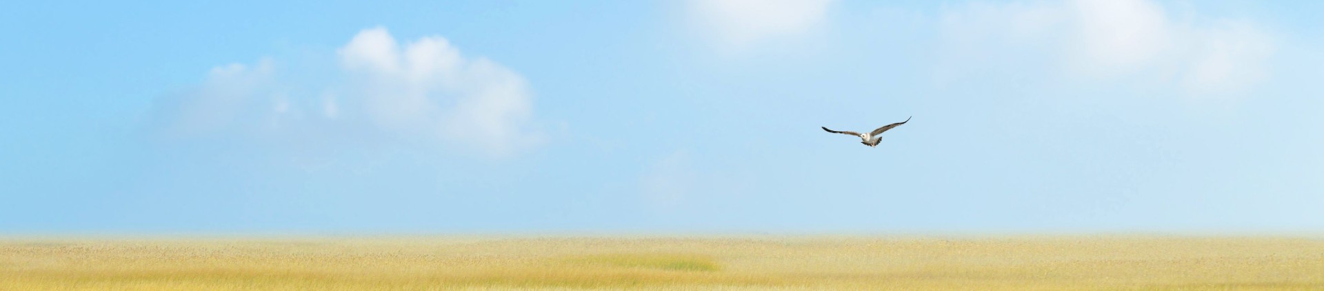 past event banner